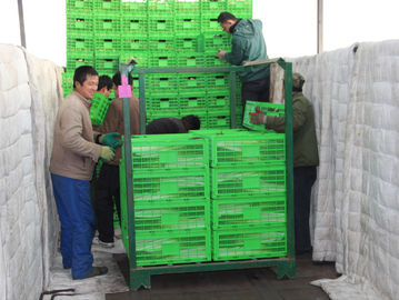 جعبه ذخیره سازی تاشو پلاستیکی کشاورزی سفارشی 600*400 میلی متر