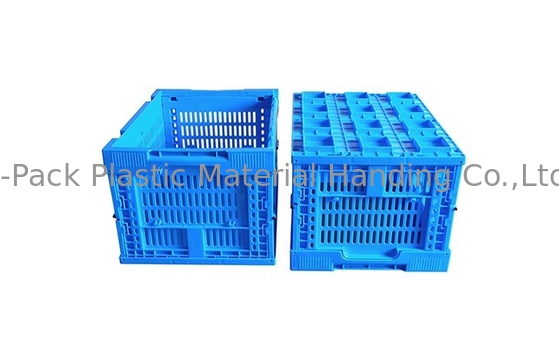 جعبه های پلاستیکی میوه و سبزیجات آبی رنگ 400*300 میلی متری
